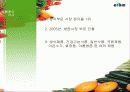 [마케팅] erom 생즙 분석 9페이지