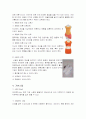 에어로빅(Aerobic) 3페이지