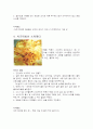 퓨전요리 3페이지