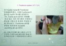 Dentech Positioner System을 이용한 Removable Partial denture 제작. 17페이지