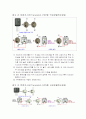 트랜지스터의 종류와 구조 10페이지