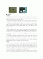 병동 환경 조사 실습 6페이지