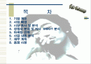 [벤처창업론]남성 스킨케어전문점 사업계획서(A+리포트) 2페이지