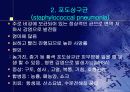 폐렴의 문헌고찰과 간호과정 9페이지
