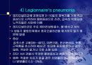 폐렴의 문헌고찰과 간호과정 13페이지