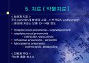 폐렴의 문헌고찰과 간호과정 17페이지