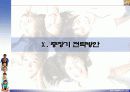 사업계획서-유아인테리어 (A+레포트) 37페이지