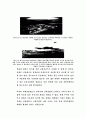 주택단지개발의 과제와 방향 34페이지