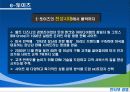 [마케팅] 인터넷 경영 - 현대모비스와 e토이즈의 사례- 17페이지