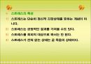 스트레스 9페이지