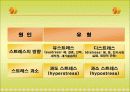 스트레스 11페이지