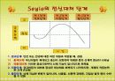 스트레스 16페이지