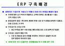 ERP도입성공사례[삼성전자] 4페이지