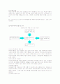 버드와이저의 해외 진출 전략 10페이지
