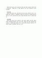 세계를 향한 글로벌마케팅 전략분석 9페이지