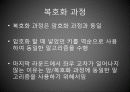 DES 암호 알고리즘의 흐름분석 42페이지