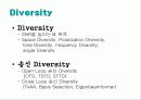 Diversity와 MIMO 기술 세미나 자료 4페이지