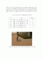 황사의 대하여 6페이지