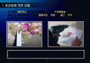 건축물의 유지관리(균열) 2페이지