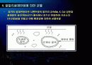 건축물의 유지관리(균열) 11페이지