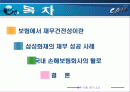 [재무] 삼성화재의 재무성공사례 2페이지