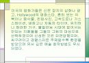 Pop Art(팝 아트)의 정의와 특성 팝아트의 영향을 받은 현대패션  15페이지