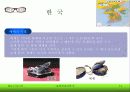 동양안경의역사 14페이지