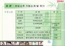 [마케팅] 진로 소주 참이슬 완벽 분석 3페이지
