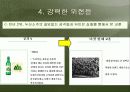 [마케팅] 소주시장 환경변화에 따른 “참이슬”의 전략적 방향 고찰 17페이지