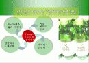[마케팅] 처음처럼 마케팅 분석 19페이지