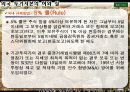 [재무] 외국 투기 자본의 허와 실 30페이지