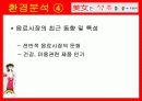 [마케팅] ‘미녀는 석류를 좋아해’ 마케팅 분석 11페이지