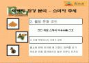 [마케팅] 황토과학 - 참토원 분석 8페이지