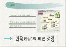 [마케팅] 처음처럼의 시장 점유률 확대를 위한 전략 4페이지