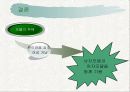 [마케팅] 처음처럼의 시장 점유률 확대를 위한 전략 12페이지