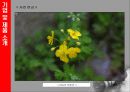[마케팅] 캐논(CANON) 성공 전략 분석 6페이지