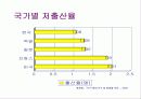 저출산과 가족복지 4페이지