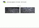 고주파 열처리 4페이지