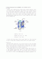 [분석/조사] 연료전지  10페이지