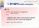 교육의 철학적특징 27페이지