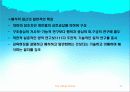 교육의 사회학적 기초 11페이지