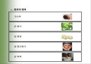피로와 건강 10페이지