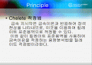 Al2O3의 EDTA킬레이트 역적정법에 의한 정량 2페이지