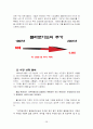 경영실패 기업의 사례 롯데월드와 폴라로이드 28페이지