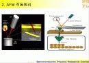AFM의 작동 및 원리 7페이지