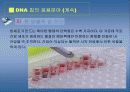 바이오 테크놀러지 바이오칩조사 13페이지