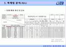 KCC 마케팅사례분석 18페이지