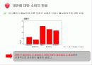 싸이월드 활성화위한 마케팅방안 17페이지