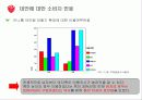 싸이월드 활성화위한 마케팅방안 20페이지
