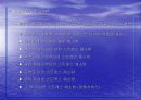 사업계획서  7페이지